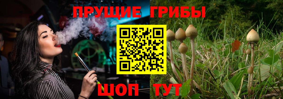 Псилоцибиновые грибы MAGIC MUSHROOMS Керчь